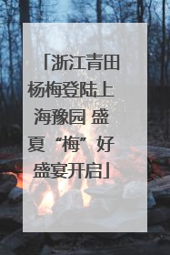浙江青田杨梅登陆上海豫园 盛夏“梅”好盛宴开启