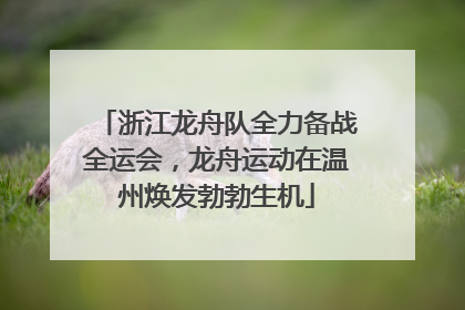 浙江龙舟队全力备战全运会，龙舟运动在温州焕发勃勃生机