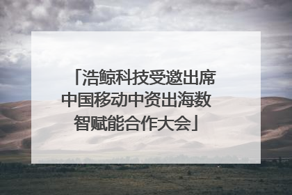浩鲸科技受邀出席中国移动中资出海数智赋能合作大会