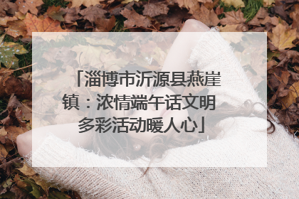 淄博市沂源县燕崖镇：浓情端午话文明 多彩活动暖人心