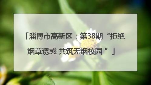 淄博市高新区：第38期“拒绝烟草诱惑 共筑无烟校园 ”