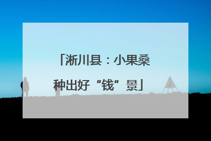 淅川县：小果桑种出好“钱”景