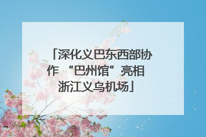 深化义巴东西部协作 “巴州馆”亮相浙江义乌机场