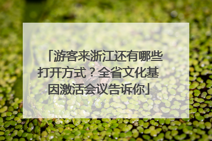 游客来浙江还有哪些打开方式？全省文化基因激活会议告诉你