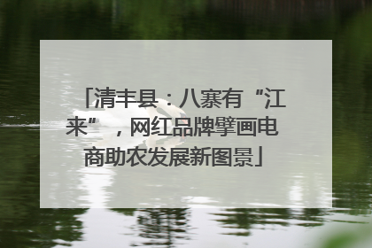 清丰县：八寨有“江来”，网红品牌擘画电商助农发展新图景