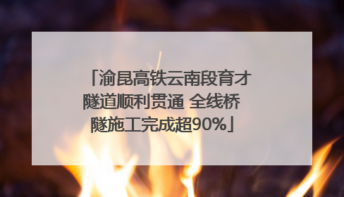 渝昆高铁云南段育才隧道顺利贯通 全线桥隧施工完成超90%