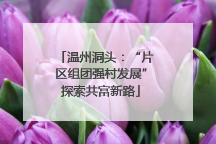 温州洞头：“片区组团强村发展”探索共富新路