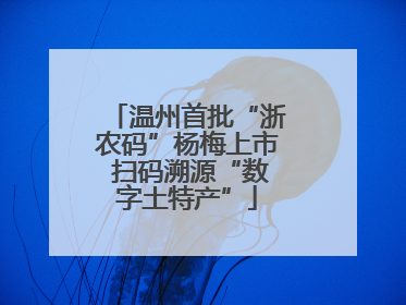 温州首批“浙农码”杨梅上市 扫码溯源“数字土特产”