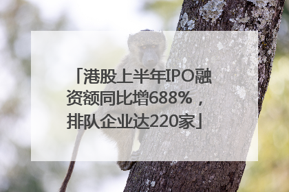 港股上半年IPO融资额同比增688%，排队企业达220家
