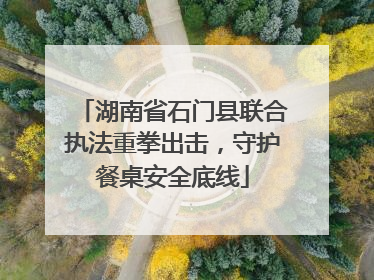 湖南省石门县联合执法重拳出击，守护餐桌安全底线