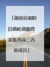 湖南省湘阴县横岭湖麋鹿家族再添三名新成员
