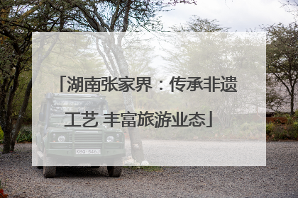 湖南张家界：传承非遗工艺 丰富旅游业态