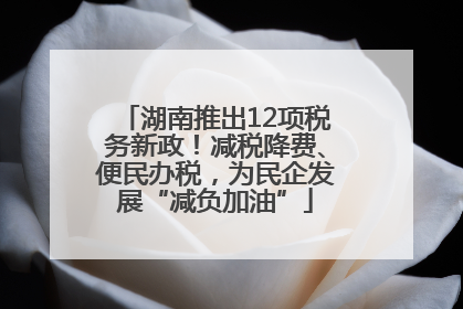 湖南推出12项税务新政！减税降费、便民办税，为民企发展“减负加油”