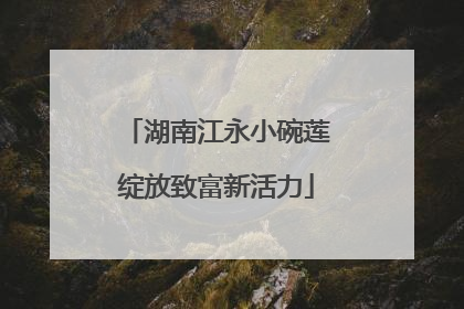 湖南江永小碗莲绽放致富新活力