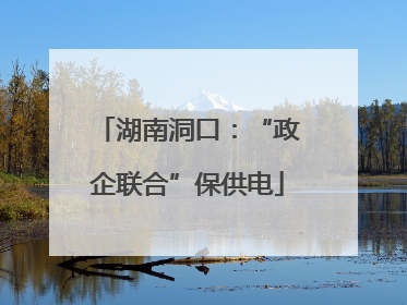 湖南洞口：“政企联合”保供电