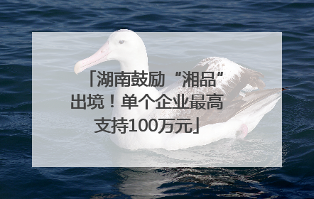 湖南鼓励“湘品”出境！单个企业最高支持100万元