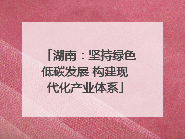 湖南：坚持绿色低碳发展 构建现代化产业体系