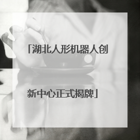 湖北人形机器人创新中心正式揭牌
