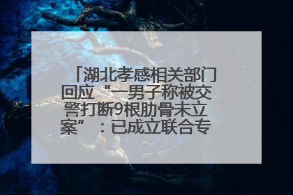 湖北孝感相关部门回应“一男子称被交警打断9根肋骨未立案”：已成立联合专班开展工作
