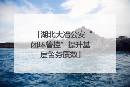 湖北大冶公安“闭环管控”提升基层警务质效