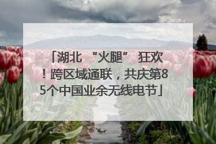 湖北 “火腿” 狂欢！跨区域通联，共庆第85个中国业余无线电节