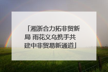 湘浙合力拓非贸新局 雨花义乌携手共建中非贸易新通道
