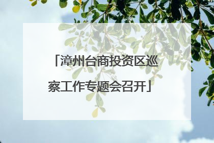漳州台商投资区巡察工作专题会召开
