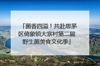 菌香四溢！共赴思茅区倚象镇大寨村第二届野生菌美食文化季