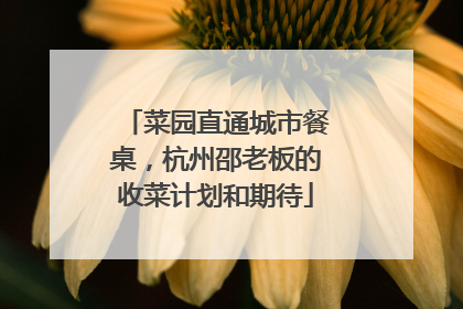 菜园直通城市餐桌，杭州邵老板的收菜计划和期待