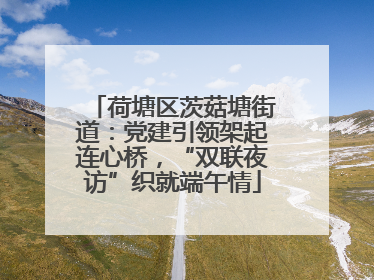 荷塘区茨菇塘街道：党建引领架起连心桥，“双联夜访”织就端午情