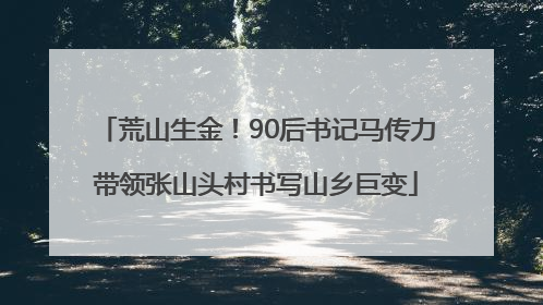 荒山生金！90后书记马传力带领张山头村书写山乡巨变