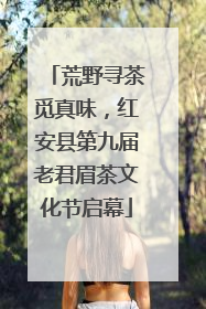 荒野寻茶觅真味，红安县第九届老君眉茶文化节启幕