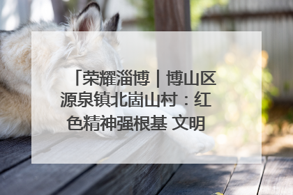 荣耀淄博｜博山区源泉镇北崮山村：红色精神强根基 文明新风润山乡