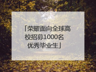 荣耀面向全球高校招募1000名优秀毕业生