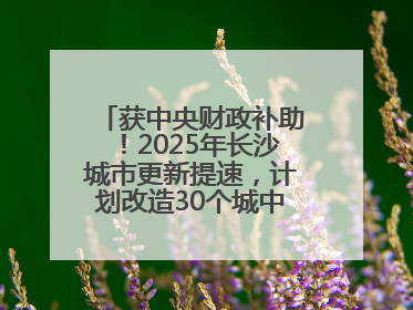获中央财政补助！2025年长沙城市更新提速，计划改造30个城中村项目