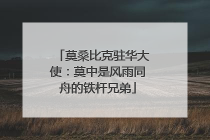 莫桑比克驻华大使：莫中是风雨同舟的铁杆兄弟