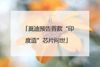 莫迪预告首款“印度造”芯片问世