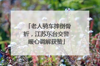 老人骑车摔倒骨折，江苏东台交警暖心调解获赞
