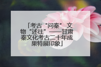 考古“问秦” 文物“述往”——甘肃秦文化考古二十年成果特展印象