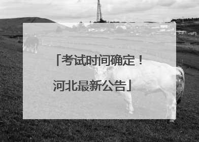 考试时间确定！河北最新公告