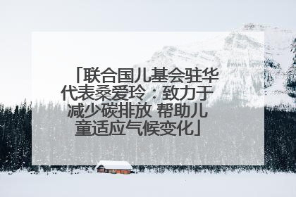 联合国儿基会驻华代表桑爱玲：致力于减少碳排放 帮助儿童适应气候变化