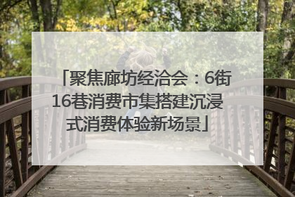 聚焦廊坊经洽会：6街16巷消费市集搭建沉浸式消费体验新场景