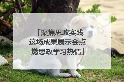 聚焦思政实践 这场成果展示会点燃思政学习热情