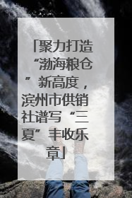 聚力打造“渤海粮仓”新高度，滨州市供销社谱写“三夏”丰收乐章