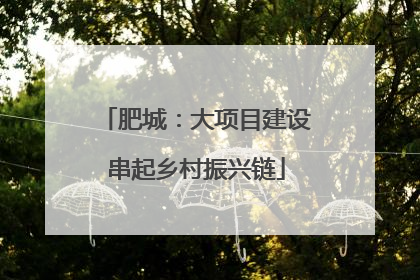 肥城：大项目建设串起乡村振兴链