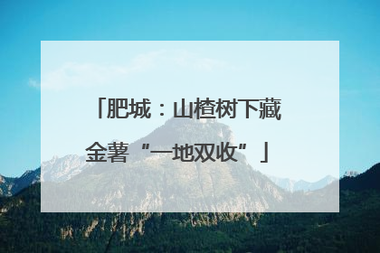 肥城：山楂树下藏金薯“一地双收”