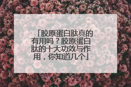 胶原蛋白肽真的有用吗？胶原蛋白肽的十大功效与作用，你知道几个