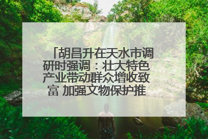 胡昌升在天水市调研时强调：壮大特色产业带动群众增收致富 加强文物保护推动文化创新发展