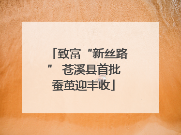 致富“新丝路” 苍溪县首批蚕茧迎丰收