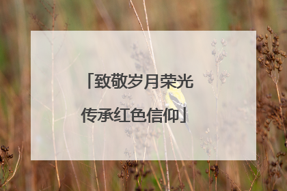 致敬岁月荣光 传承红色信仰